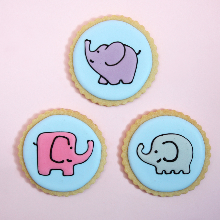 Elephant biscuits