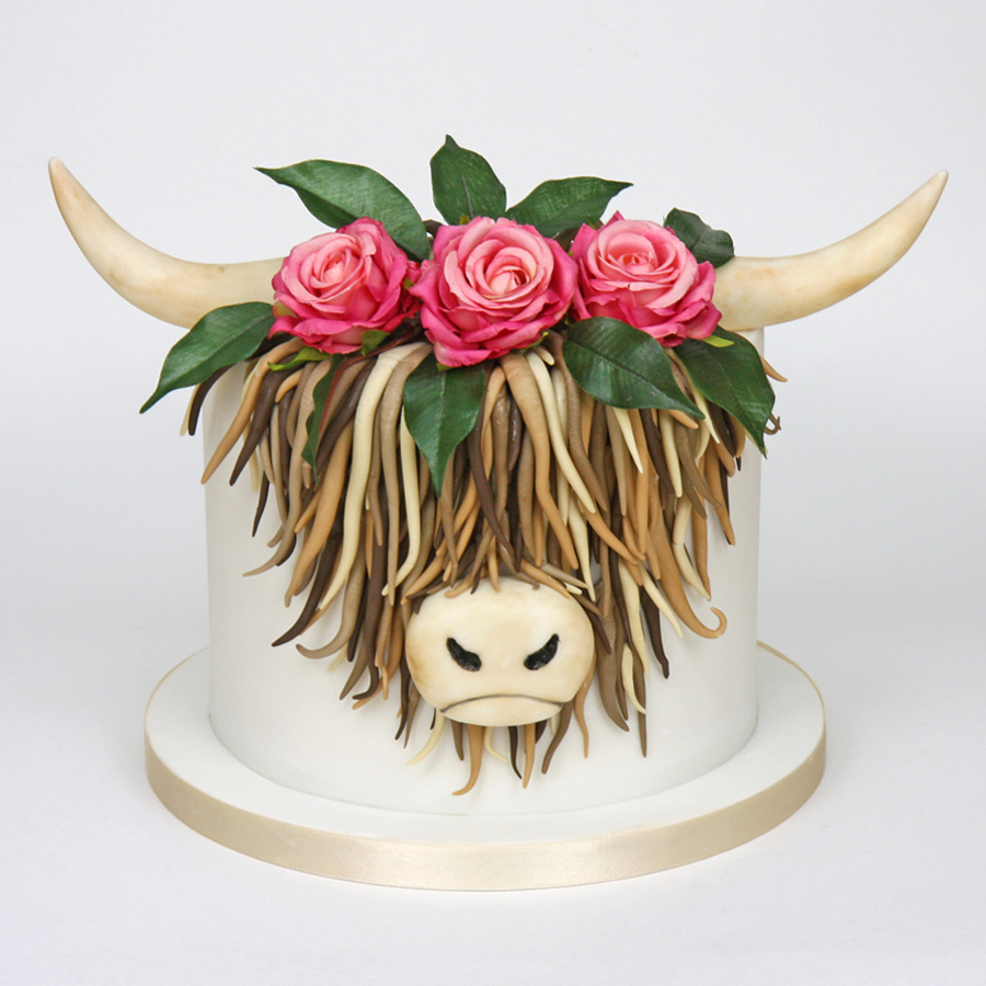 Highland cow cake