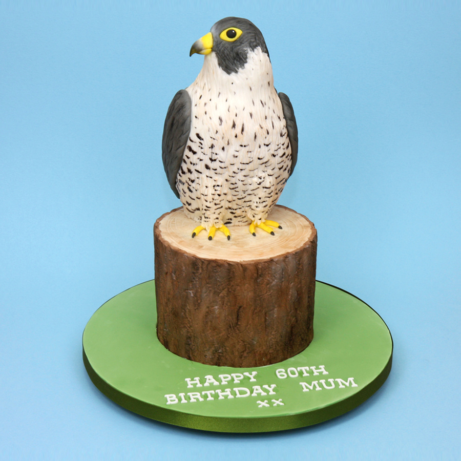 Peregrine falcon cake