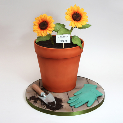 Plant pot cake