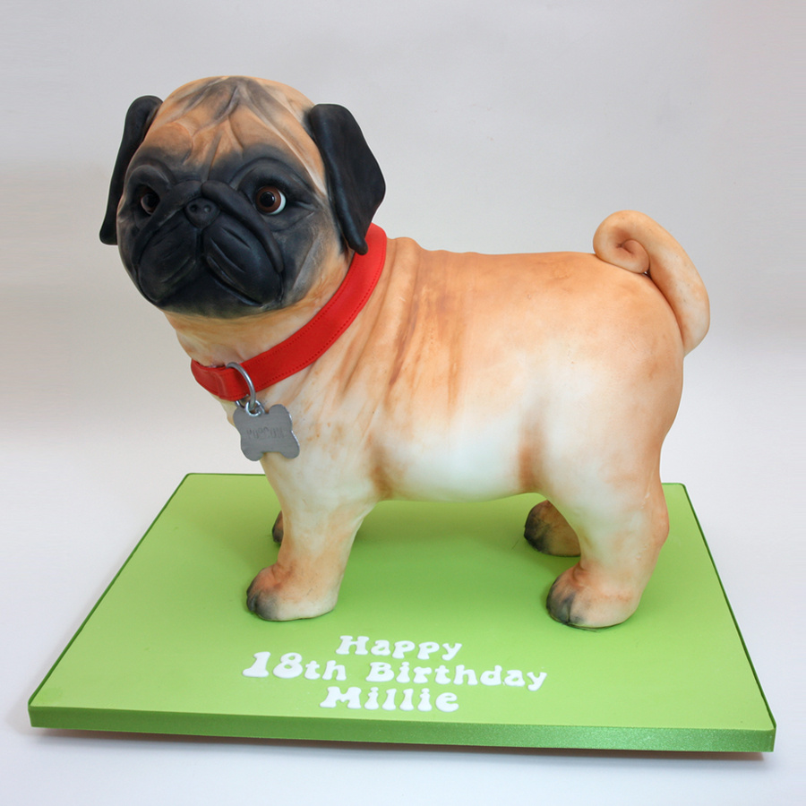 Pug dog cake