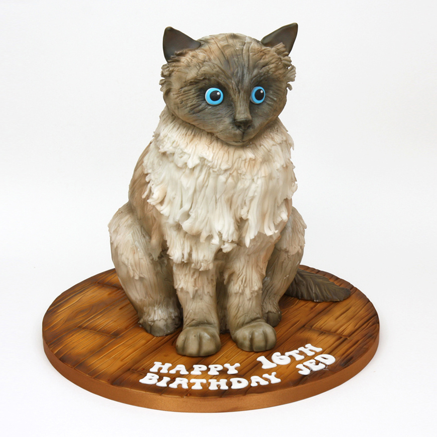 Ragdoll cat cake