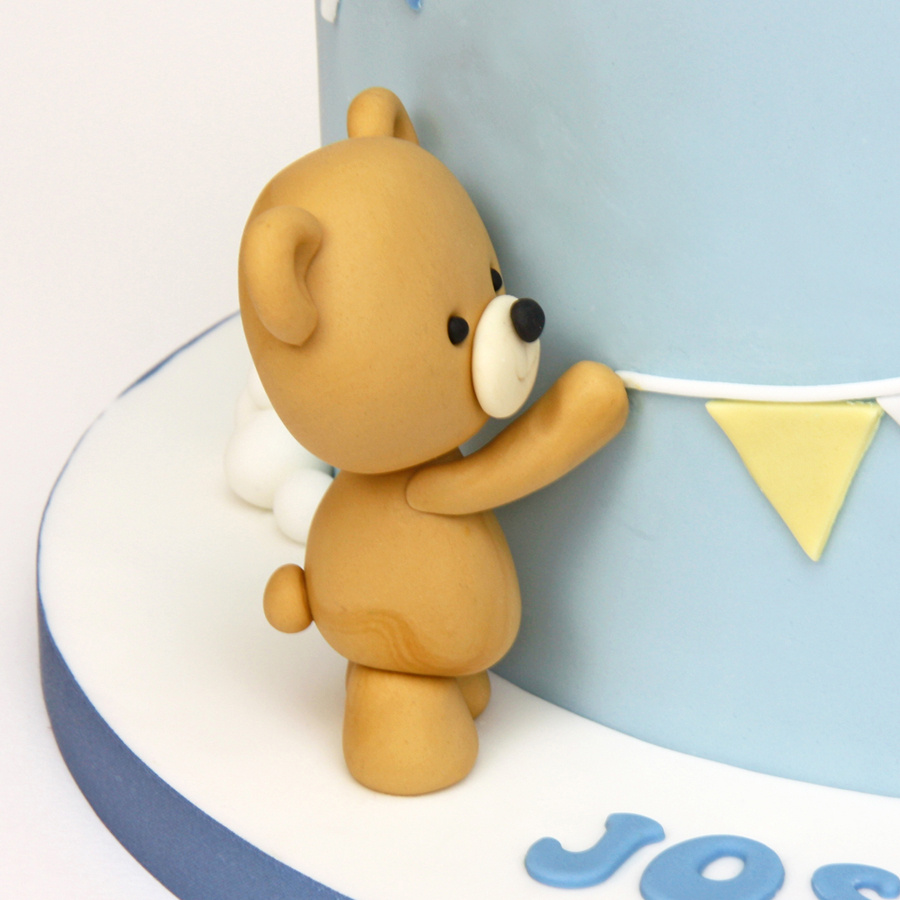 Teddy party cake